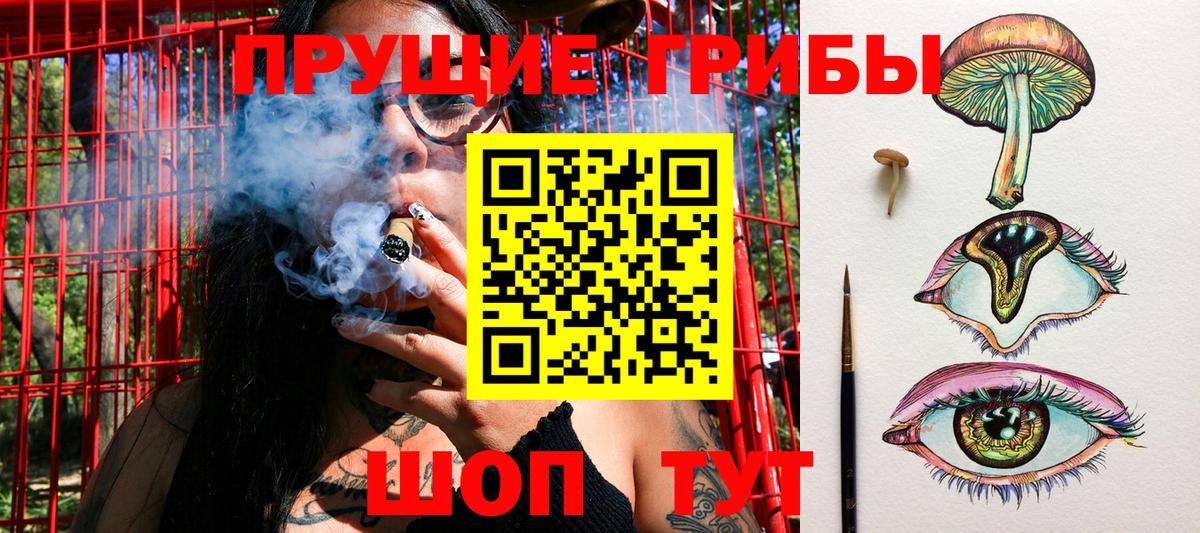 Галлюциногенные грибы прущие грибы Вышний Волочёк